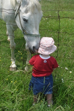 This photo of "Friends" was taken by Shannon Pifko of Grand Valley, Canada.